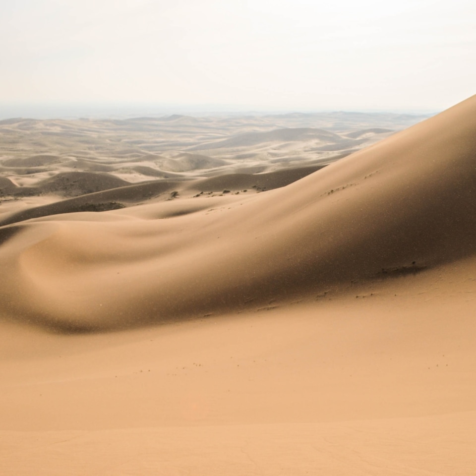 Khongoryn Els - Singende Düne Mongolei